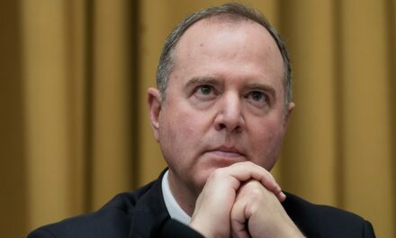 Adam Schiff says ‘entire Democratic Party’ bears the blame for Harris loss: ‘Myself included’