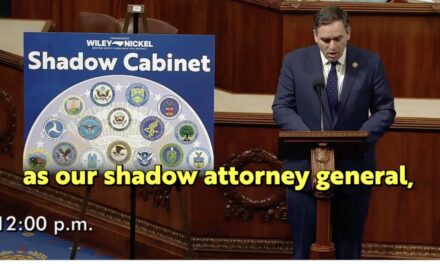 Dem Congressman Openly Reveals Plot to Form Shadow Government —Names Individuals Who Could Undermine Every Trump Cabinet Member [VIDEO]