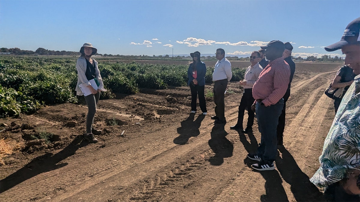 aifs-touring-bean-test-fields-crop-breeding