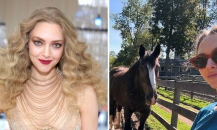 Actress Amanda Seyfried Ditched Living in Los Angeles for the ‘Peace’ of a Rural Farm