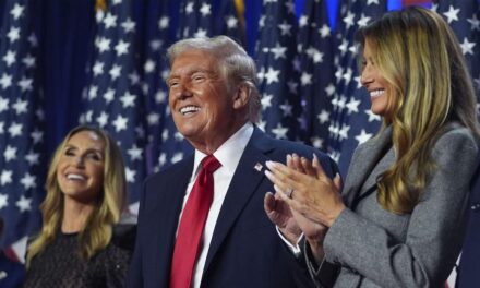 Election results in 7 key swing counties show how Trump swept to victory