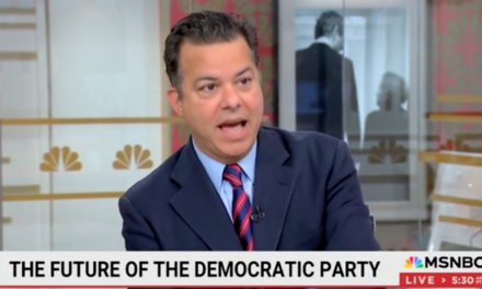 Ex-CNN anchor who ran for Congress says Democrats have become ‘party of the status quo’