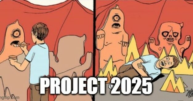 Axios Stokes Project 2025 Panic