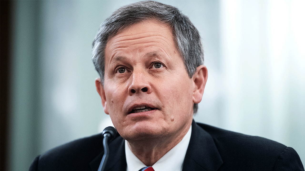 Steve Daines