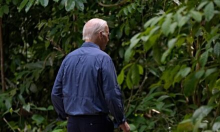 Hollywood Celebrities Mock Joe Biden Wandering Off into the Amazon Rainforest: ‘He was Never Seen Again’