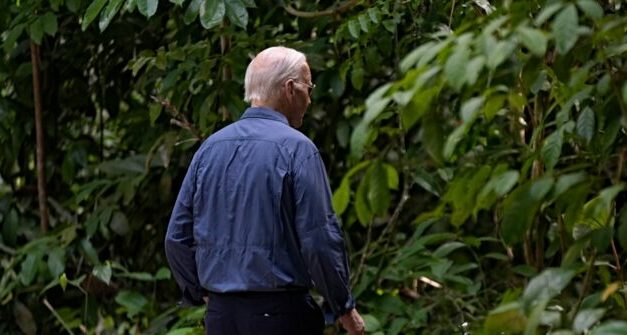 Hollywood Celebrities Mock Joe Biden Wandering Off into the Amazon Rainforest: ‘He was Never Seen Again’