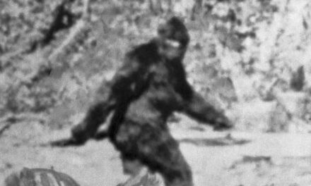 Bigfoot Finally Captured On Video? Watch The Footage And Decide For Yourself