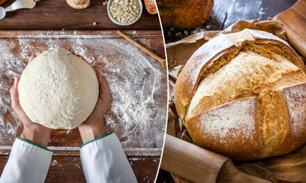 How to make artisan bread if sourdough is too much of a commitment