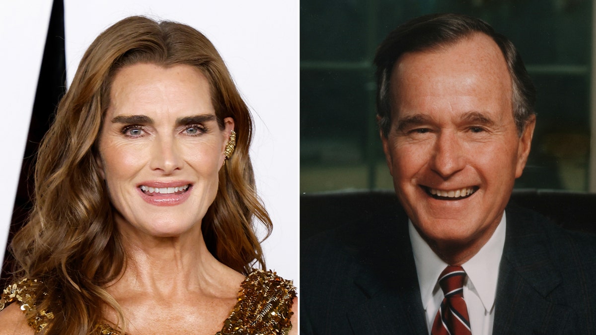 Brooke Shields wears gold dress, President George H.W. Bush in a blue suit.