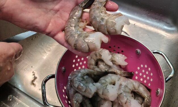 Shrimps