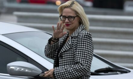 Kyrsten Sinema Drags Chuck Schumer, and the Lib Responses Are Gold