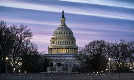 US Capitol Police Arrest Man Carrying Flare Gun and Manifesto After Smelling Fuel in His Bag