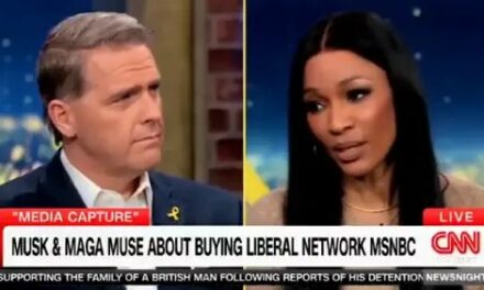 Former ESPN Personality Panics About Elon Musk Potentially Buying MSNBC, Flips Out at CNN’s Scott Jennings