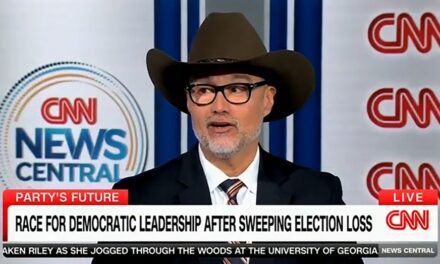 Democratic strategist hints at running to lead the DNC in order to make ‘Democrats fun again’