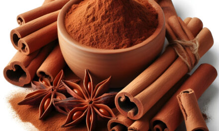 Sermon 33: CINNAMON as God’s natural antibacterial medicine