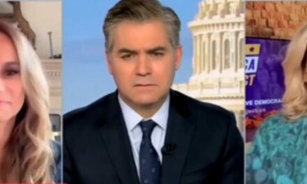 WATCH: CNN Crybaby Jim Acosta and Liberal Panelist Lose their Minds Over Powerful Trump-Musk Partnership to Drain the Swamp and Save America