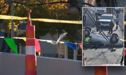 Illinois driver plunges off parking garage deck near mall: photo