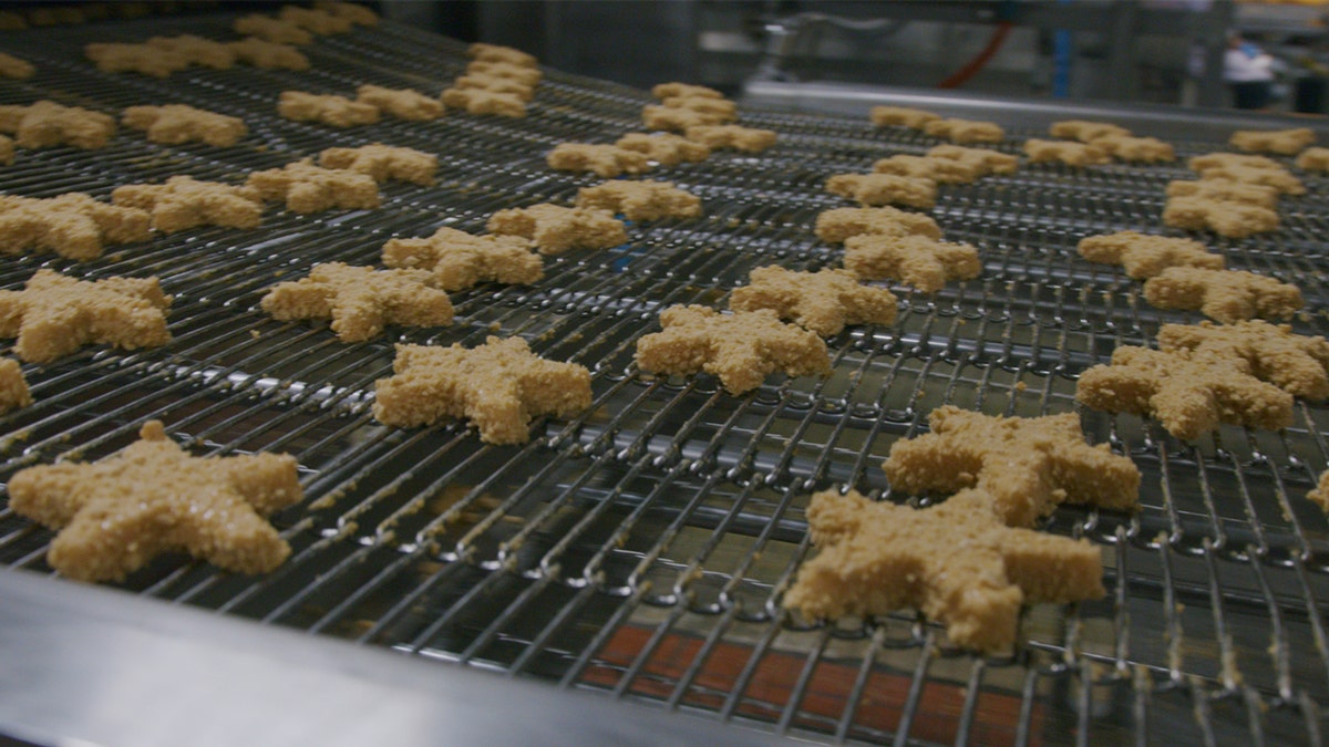 Star-shaped chicken nuggets representing the logo of the Dallas Cowboys are being made at the Tyson Foods factory.