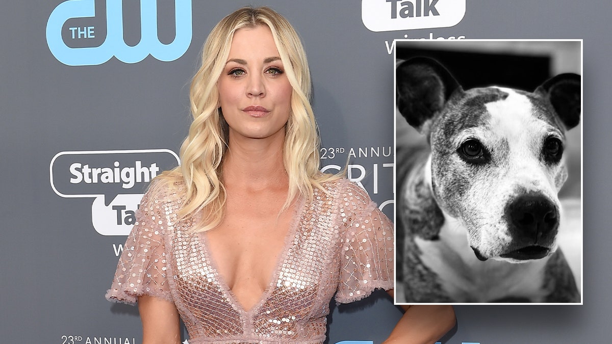 Kaley Cuoco and dog Shirley