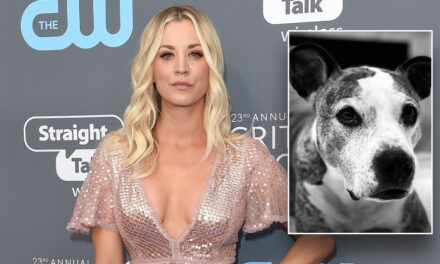 Kaley Cuoco made ‘excruciating decision’ to rehome her dog after ‘mega fights’ with fiancé’s pet