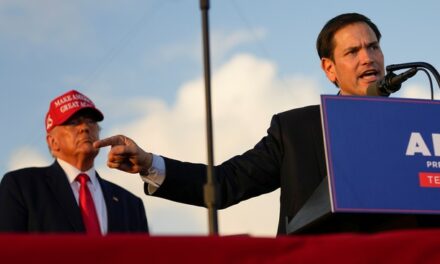 REPORT: Donald Trump Will Select Sen. Marco Rubio As Secretary of State