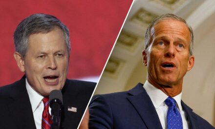 Trump privately backed John Thune in tight leader race, Sen Steve Daines suggested