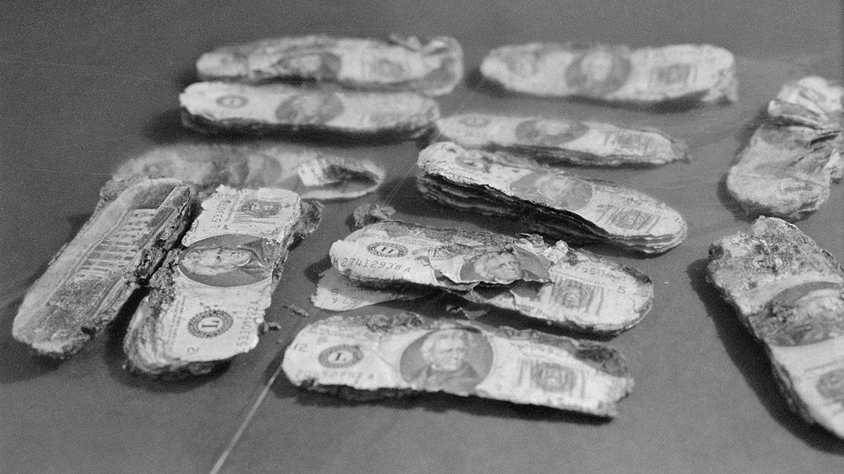 Money found in the DB Cooper investigation