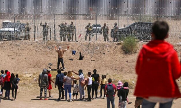 Democrat strategist promises protests to protect illegal immigrants from military deportation