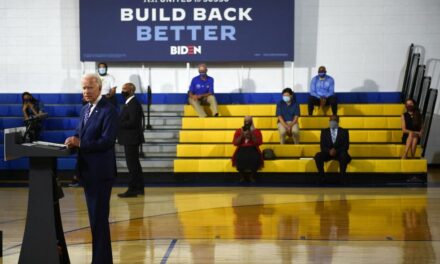 Dems open can of worms by asking about millions of 2020 Biden voters who somehow disappeared in 2024