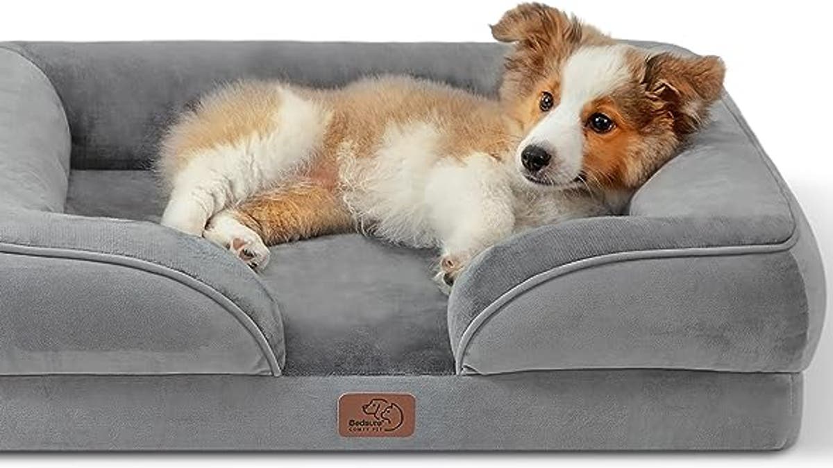 This pet bed is ultimate comfort