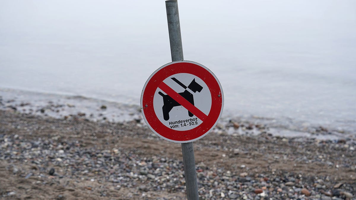 No Dog Sign on Beach