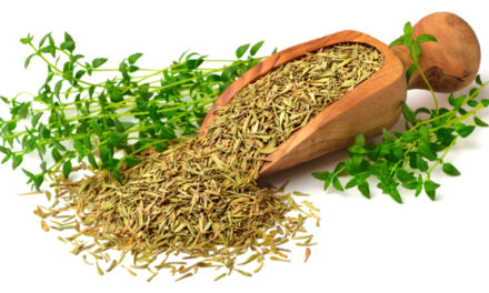 Science-backed health benefits of the ancient herb thyme