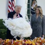 Republicans Share What They Are Most Grateful for This Thanksgiving