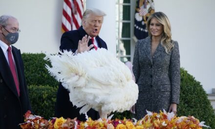 Republicans Share What They Are Most Grateful for This Thanksgiving