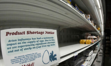 Egg Shortage and Price Increase Hit U.S. amid Holiday Season