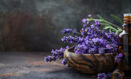 Hyssop essential oil: Ancient healing herb in modern form