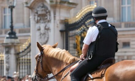 Fanny Pack Wearing Soccer Fan Gets Trucked By A Police Horse While Confronting Rival Fans