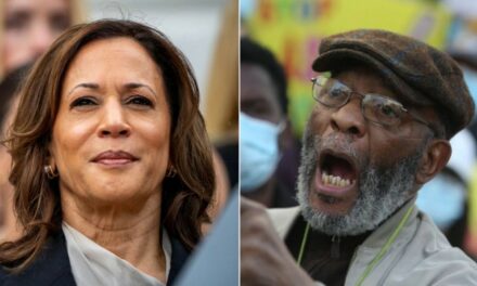 VP Harris’ radical mentor could be key player in reparations push if she becomes president