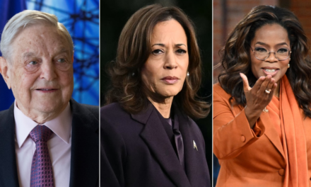 Kamala Harris campaign aide admits she never surpassed Trump in internal polls