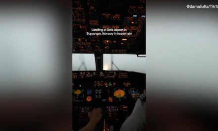 Flight attendant’s viral video shows pilots landing in heavy rainstorm