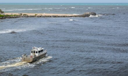 Florida man dies after getting knocked off boat, caught in propeller