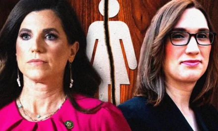 From feminism to ‘theminism’: Nancy Mace faces liberal fury in Congress