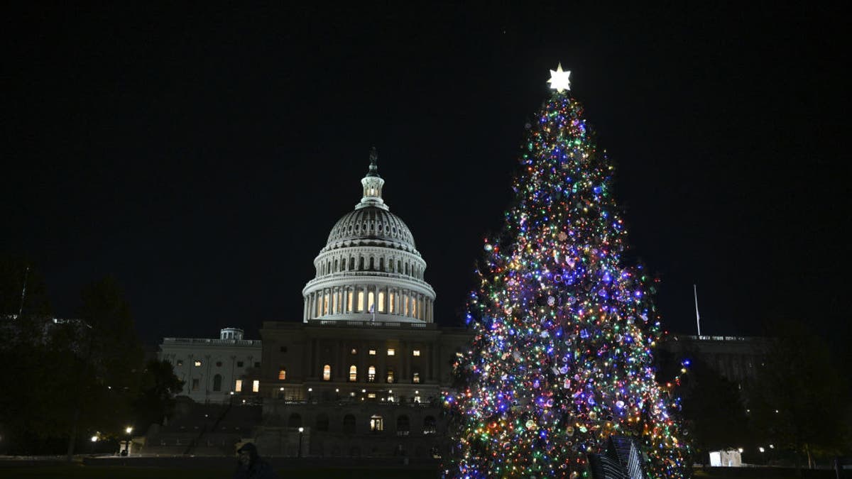 Capitol Christmas tree illuminated in Washington