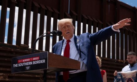 Trump declaring national emergency at border would not lead to militarization of country, expert says