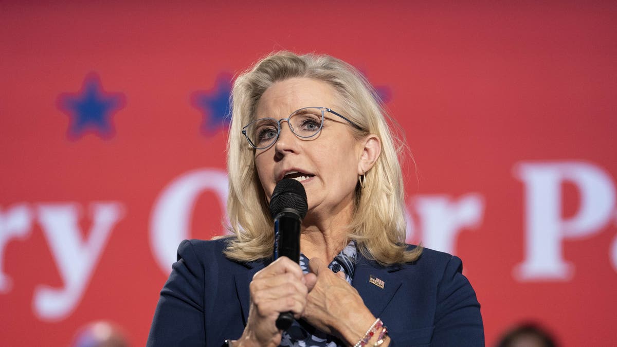 Liz Cheney closeup shot, holding microphone