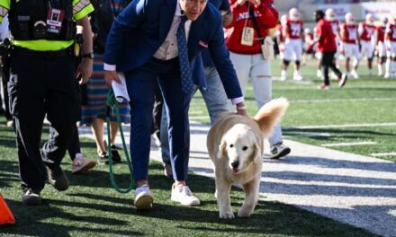 Kirk Herbstreit Gives Sobering Update On His Dog, Ben: ‘The Next 24-48 Hours Will Tell Us If He Has A Chance’