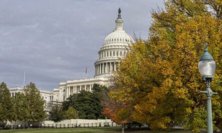 Police arrest man at US Capitol smelling of fuel who had manifesto, flare gun and blow torch