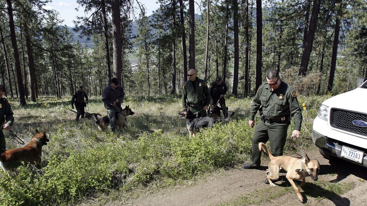 U.S. Border Patrol Agents gather with their specially trained dogs for a field training session May 9, 2006 in the mountains north of Colville, Washington. 