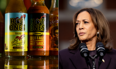 Harris campaign admits popular ‘Hot Ones’ podcast rejected having candidate on: ‘Weren’t going to take us’