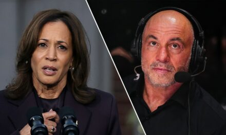 Joe Rogan says Kamala Harris campaign had a condition to avoid ‘marijuana legalization’ talk for interview